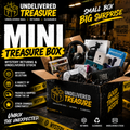 Mini Treasure Box